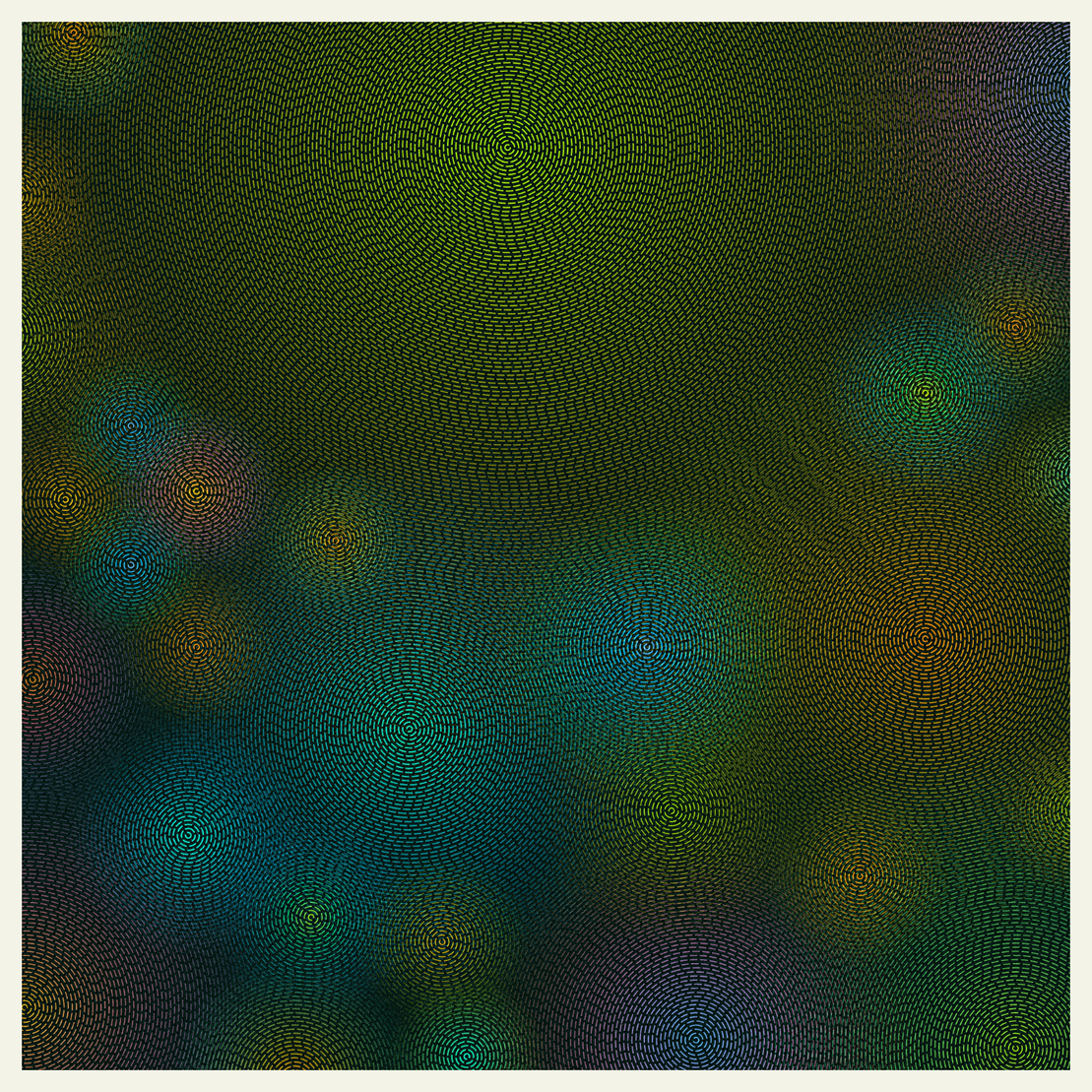 Ripple #113