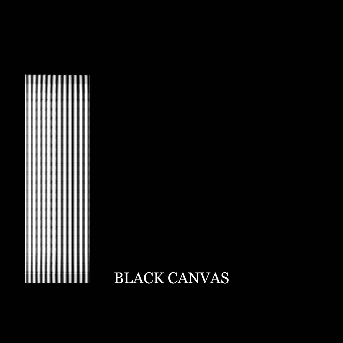 Black Canvas