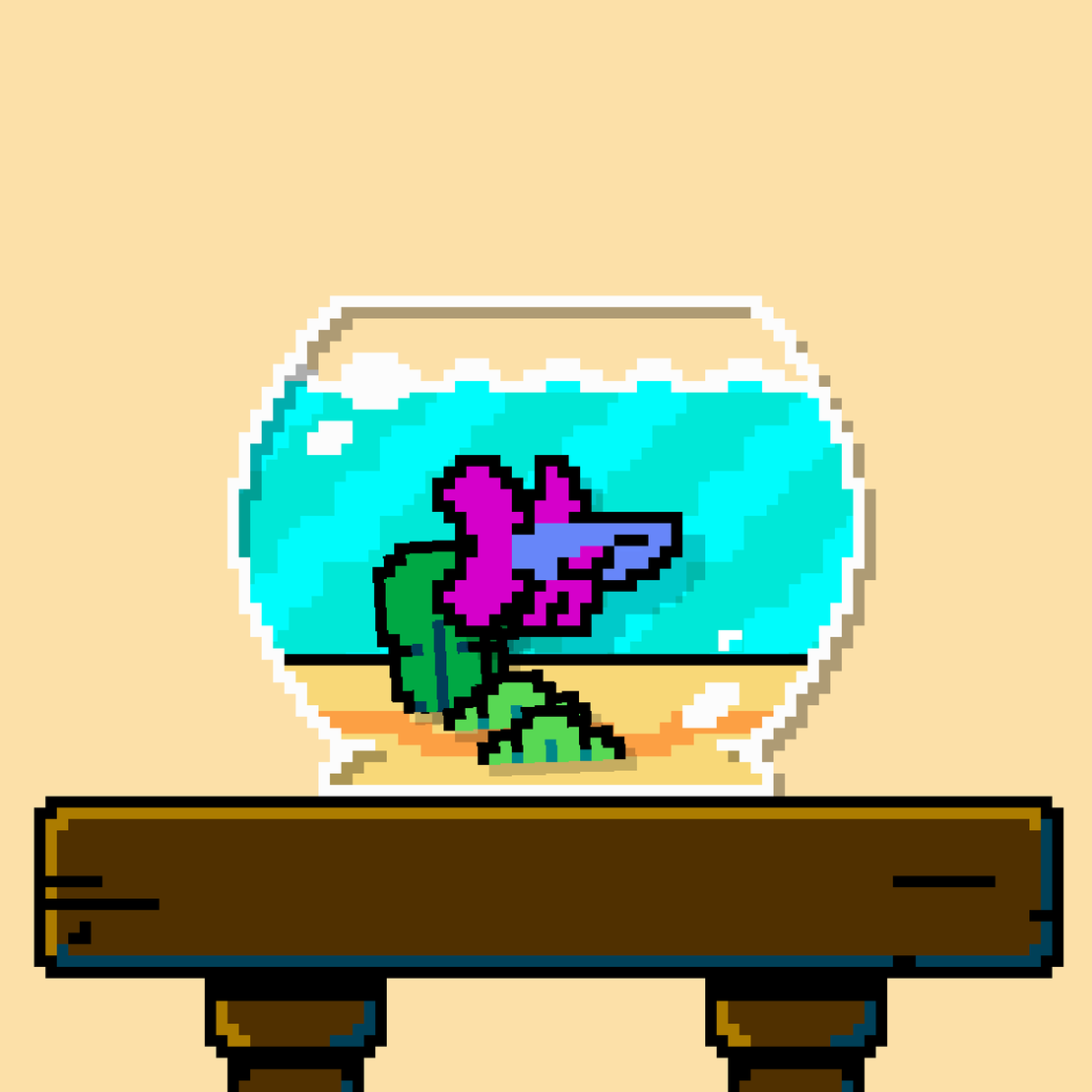 betta fish #619