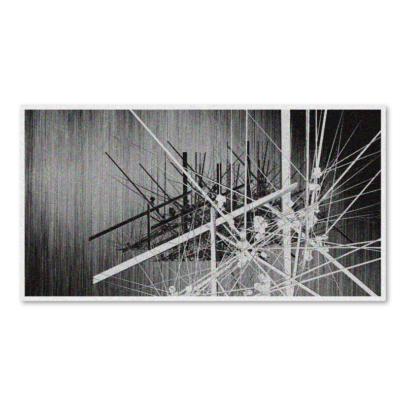 Branches #40