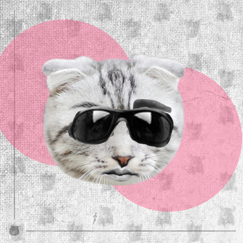 Kittenstein #36