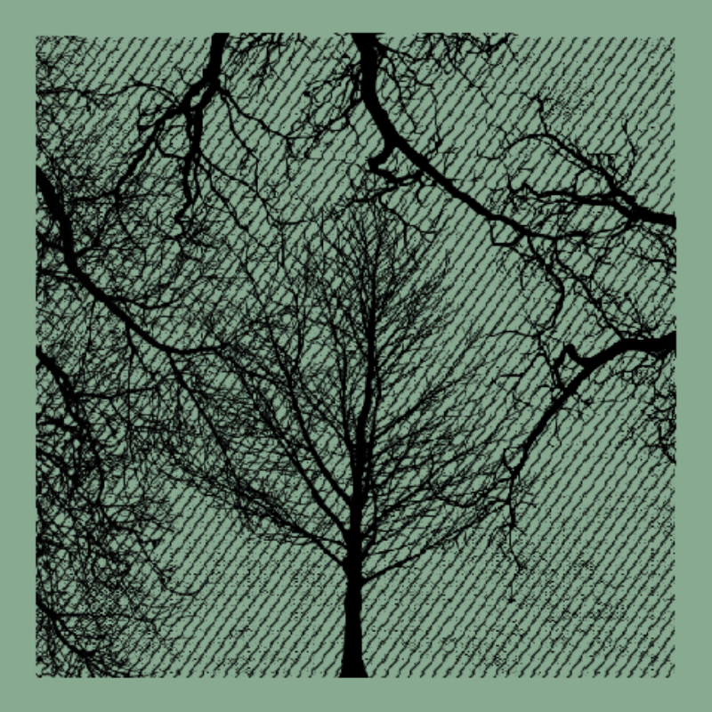 Forest of Shadows #84