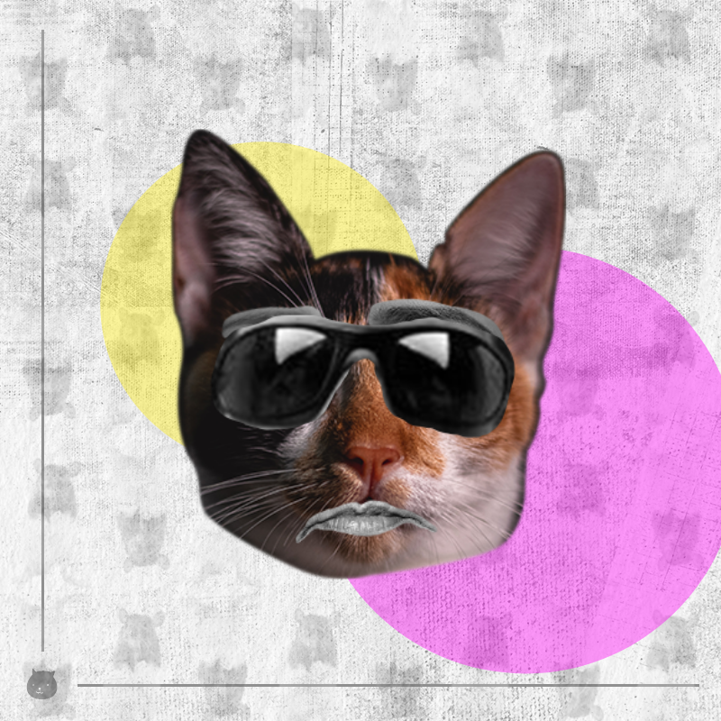 Kittenstein #6