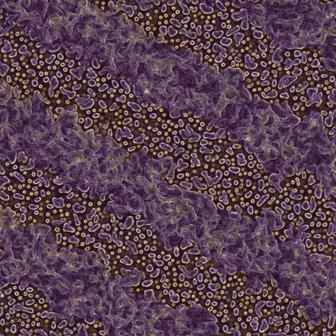 saprophyte #118