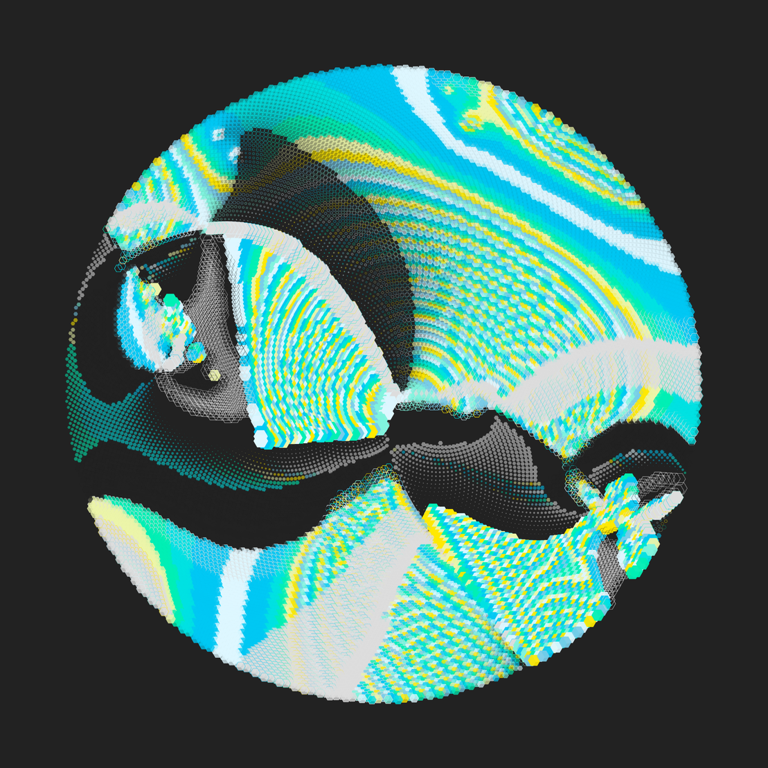 Still C #28232