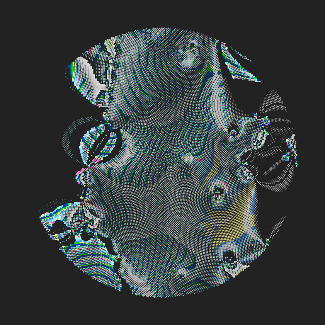 Still C #28312