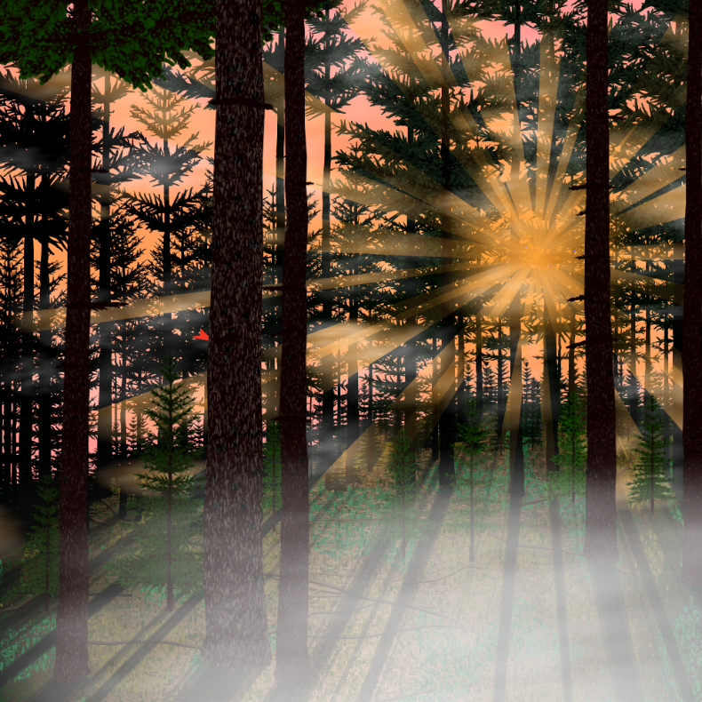 Forest Sunrise #42