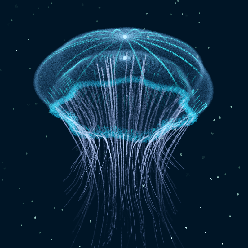 Creatures of the Deep #1 - The Jellyfish #19