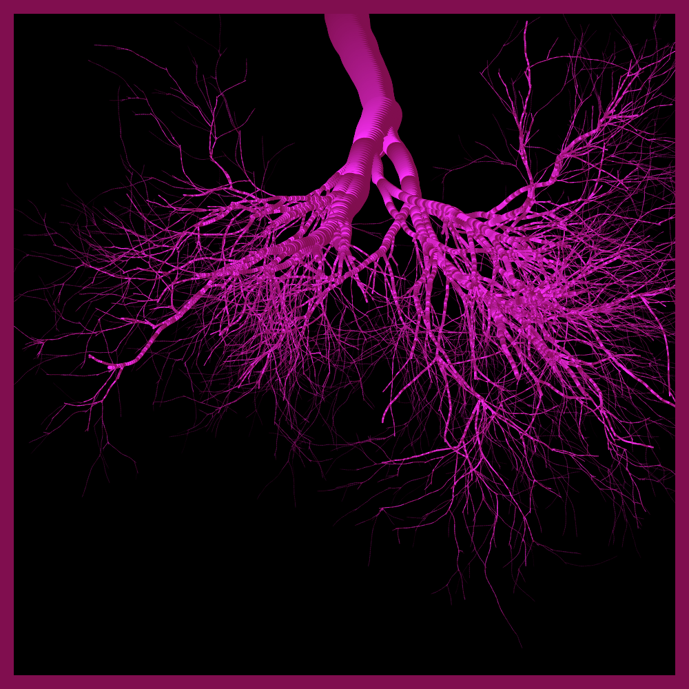 Arbres suspendus #1
