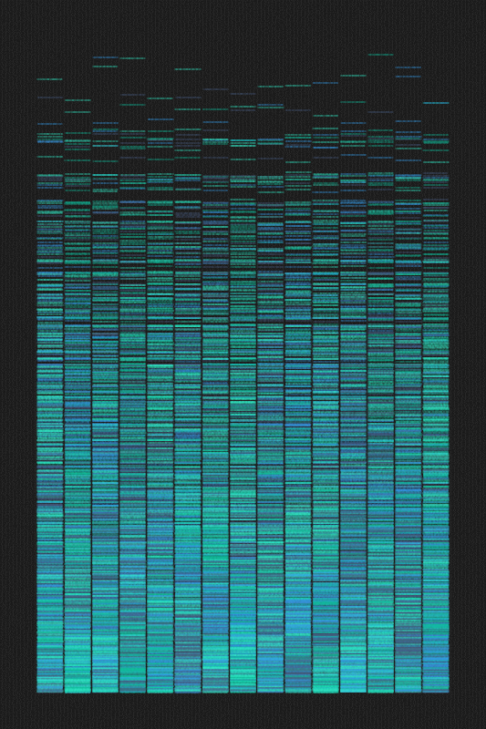 Sequence #509