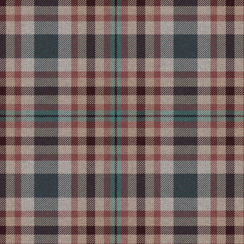 Tartan Cloth #21