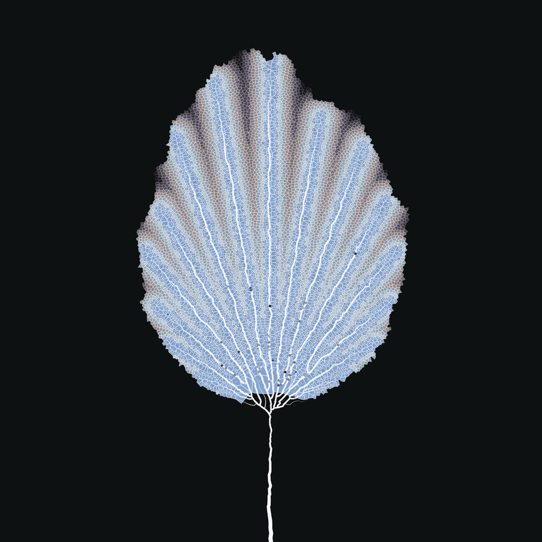 Leaf study #24