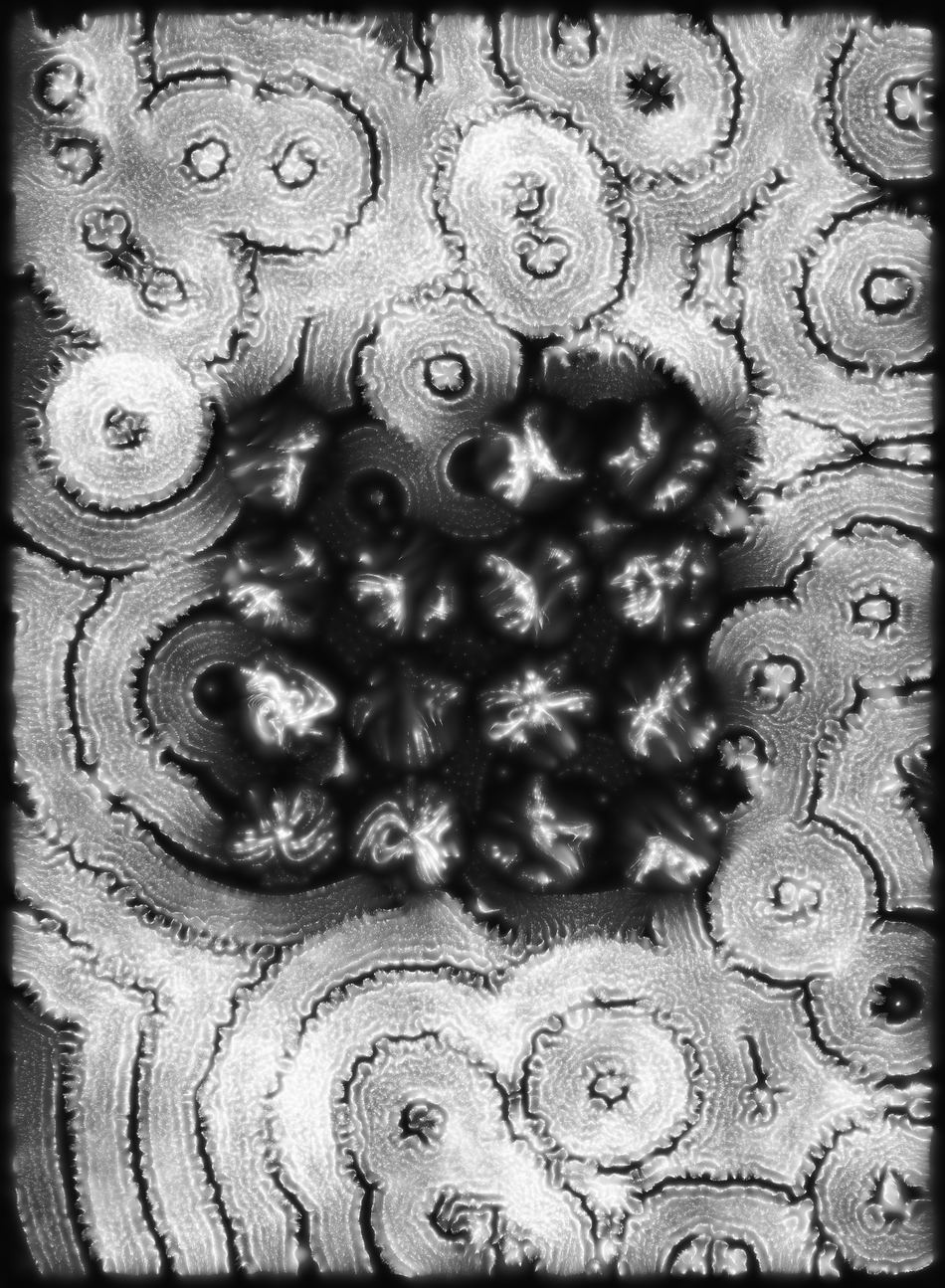 Holons #498