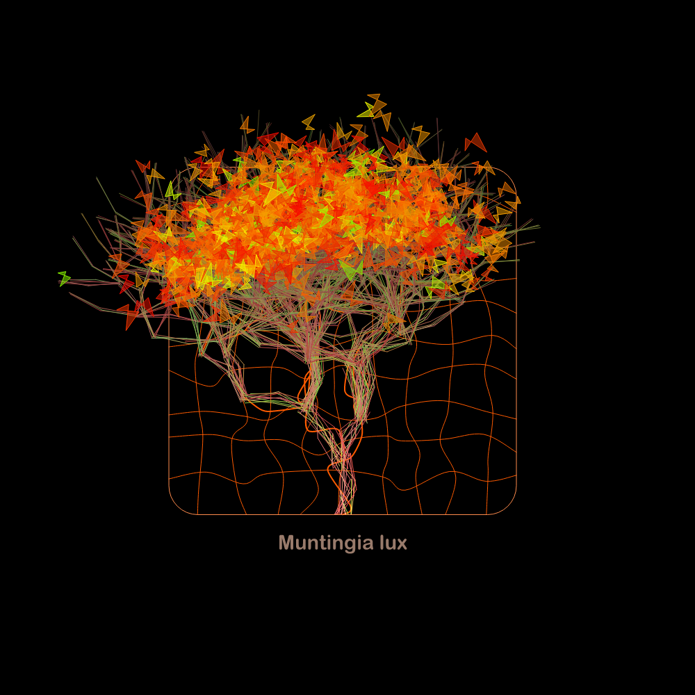 Fluidynamix - Trees #42