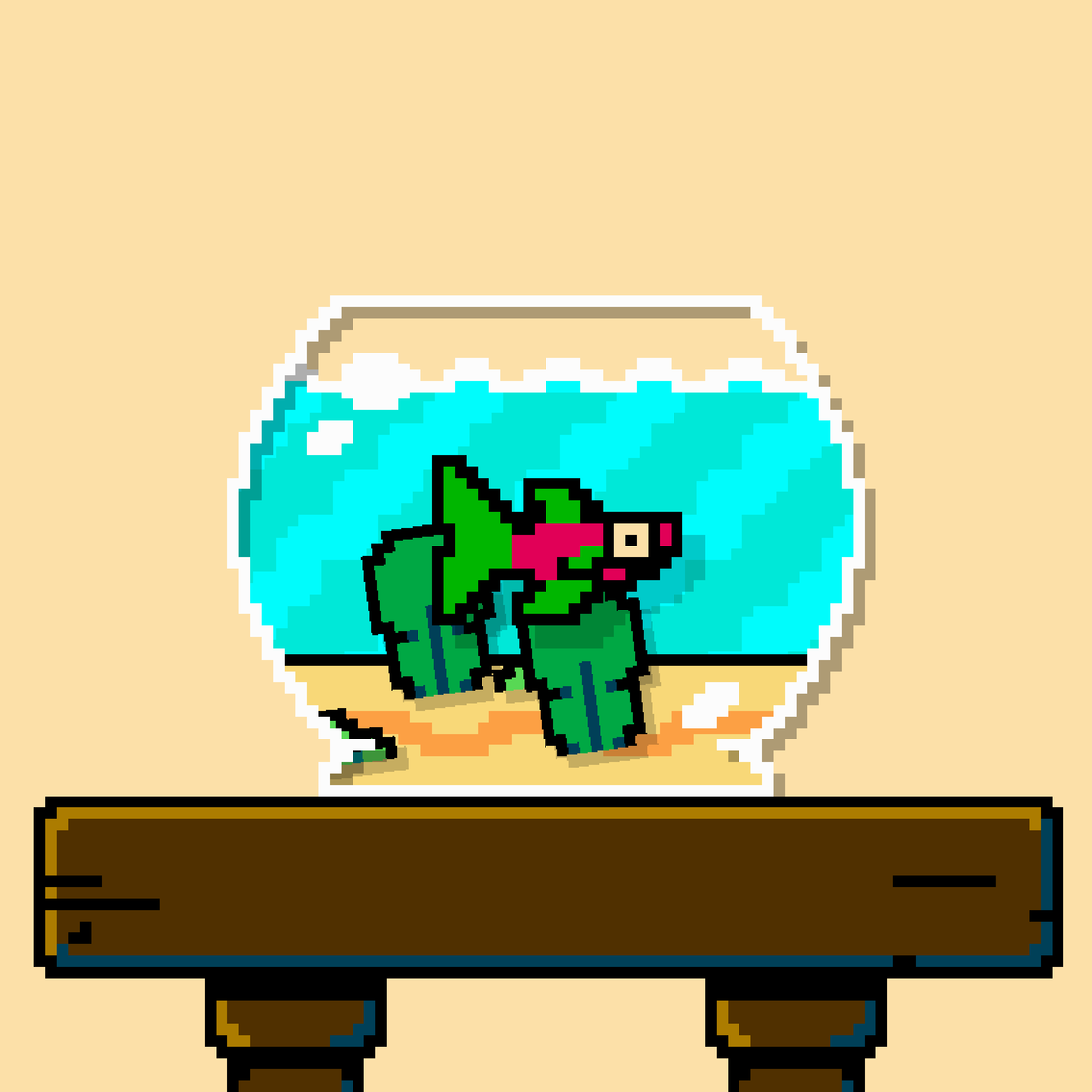 betta fish #377