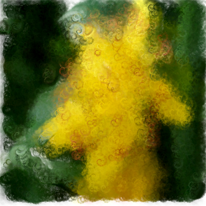 Hypericum #190