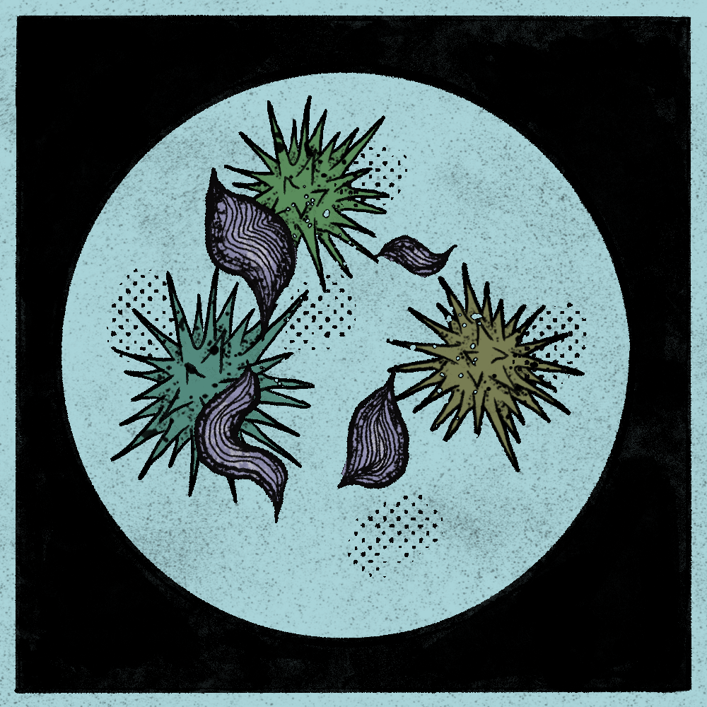 Microbes #30