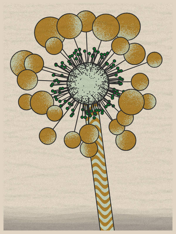 Abstract Dandelion #8