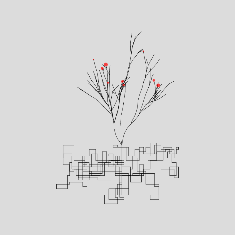 Algorithmic Tree #1