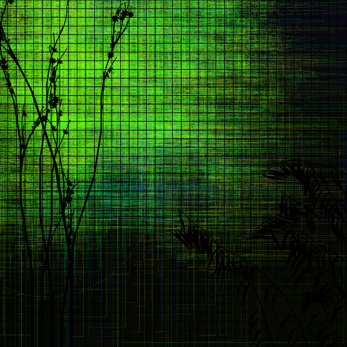 Deep forest #36