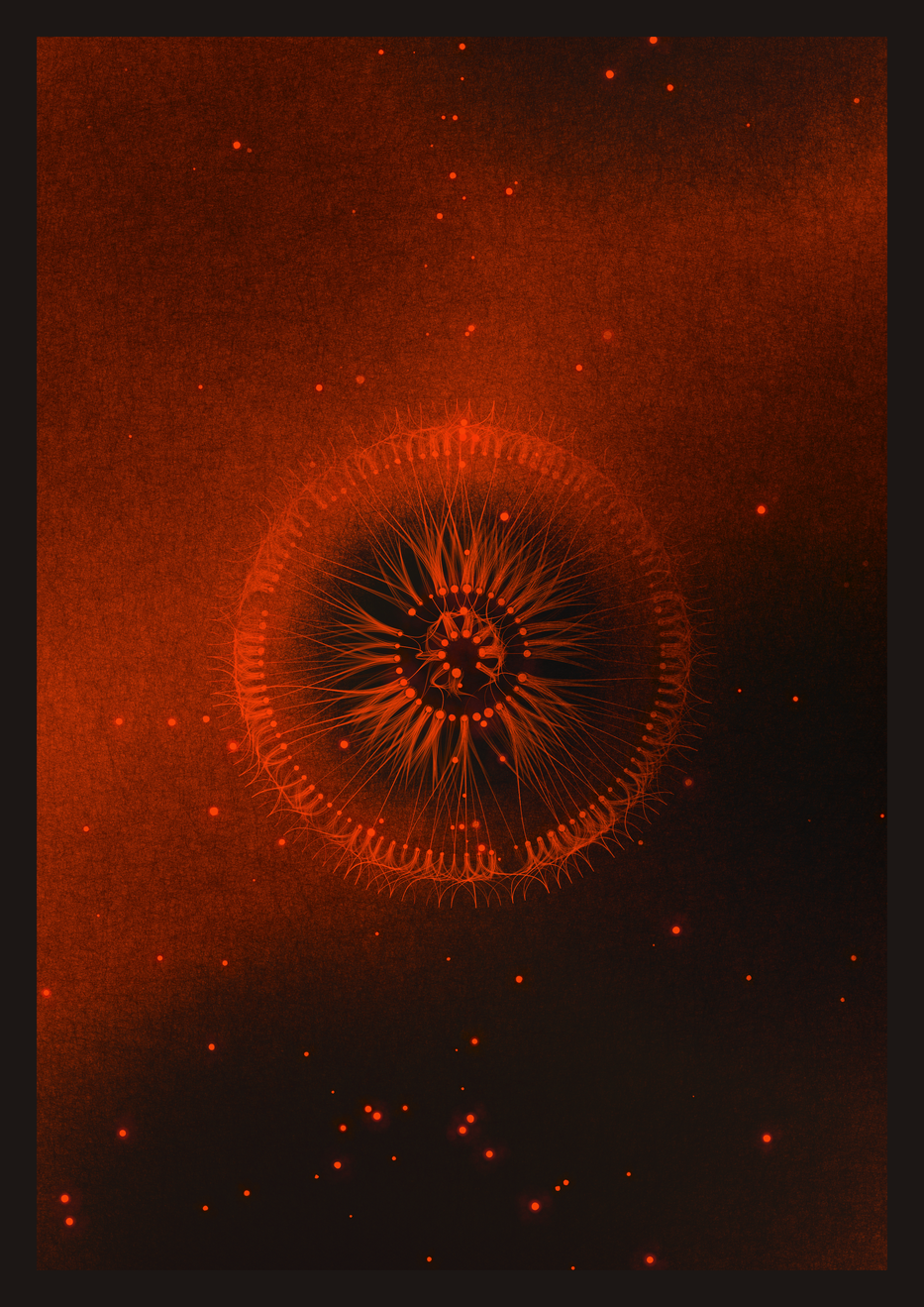 Effluence #306