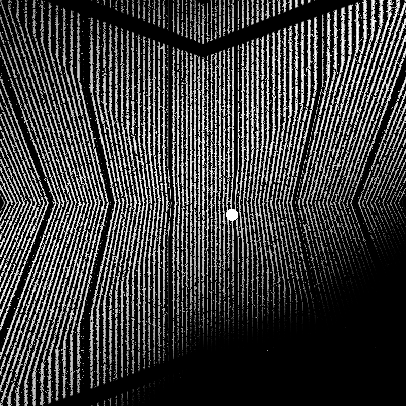 CARBON #31