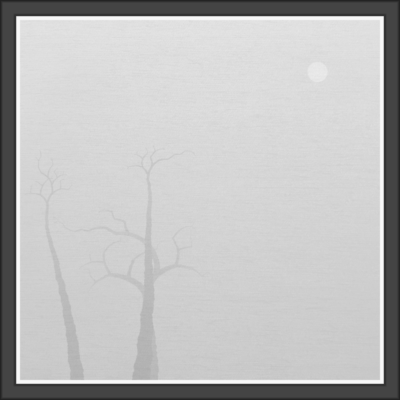 The Foggy Trees #111