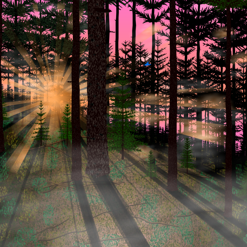 Forest Sunrise #8