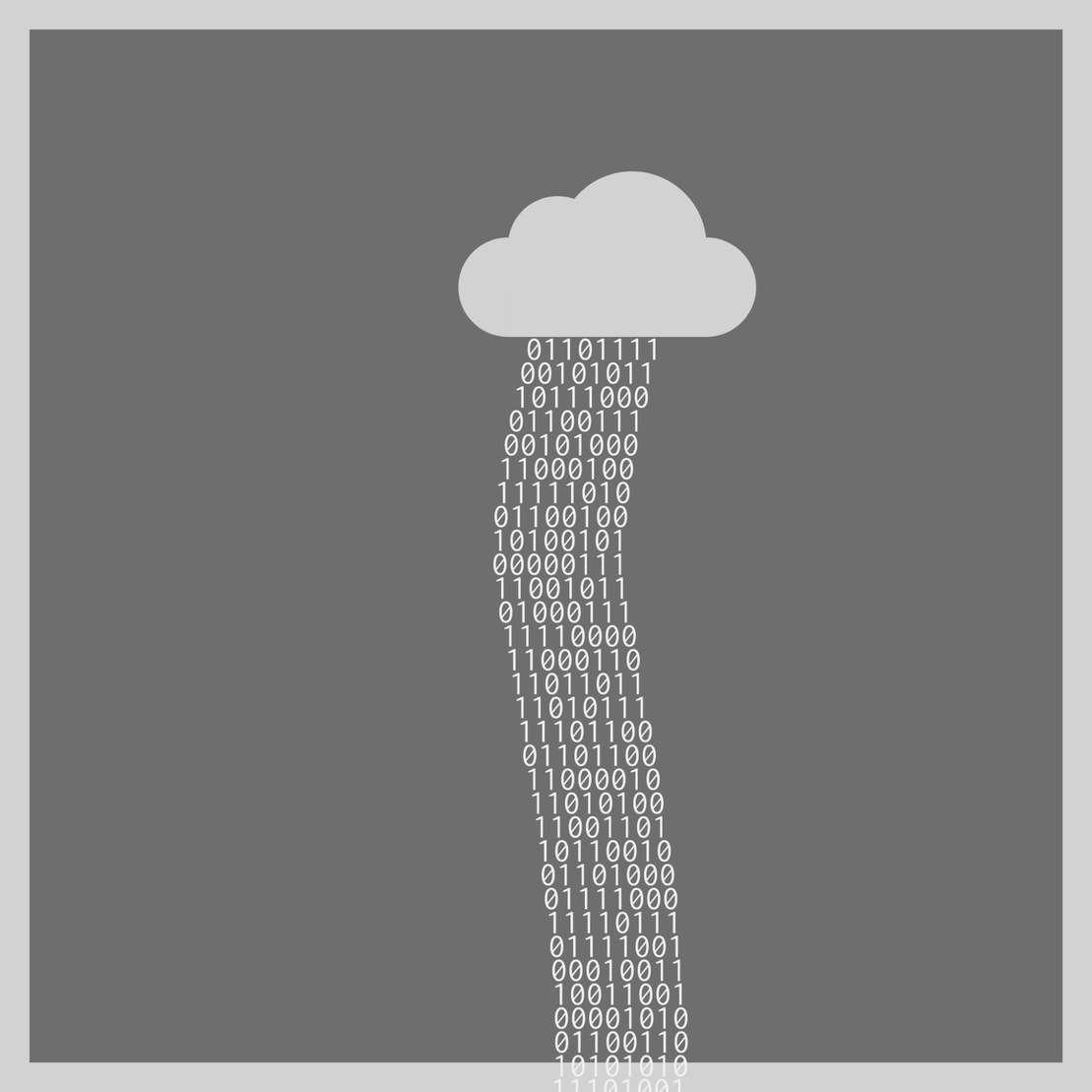 bit rain #31