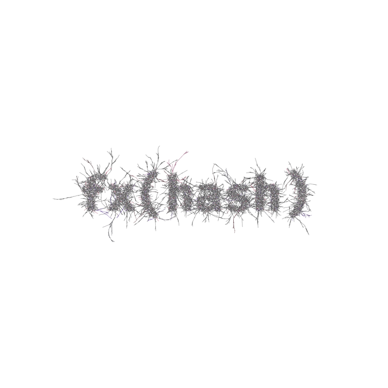 FXHASH Logo with Features #137