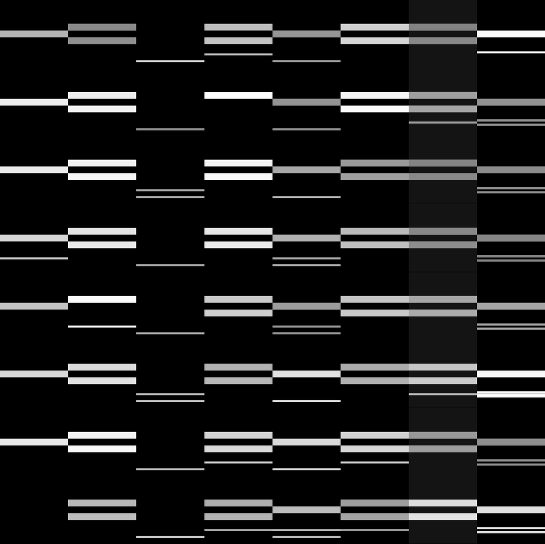 M5: PULSES #53