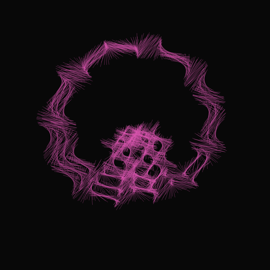 The Noise #11517
