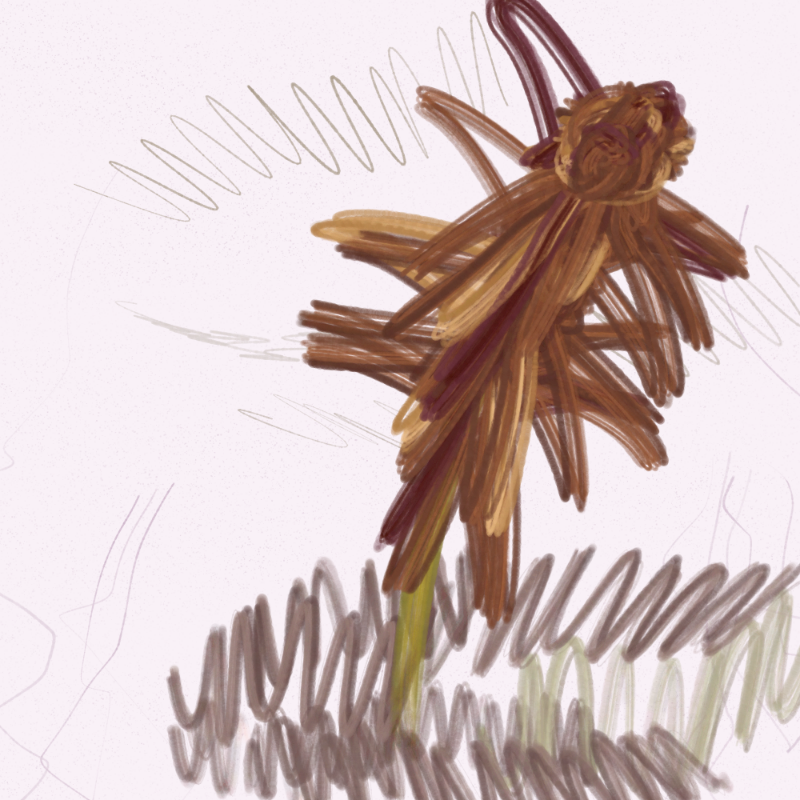 The Likeness of a Flower #6