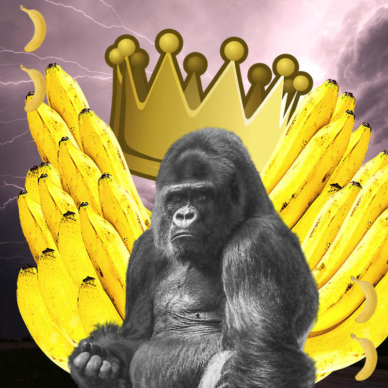 Banana gods #29