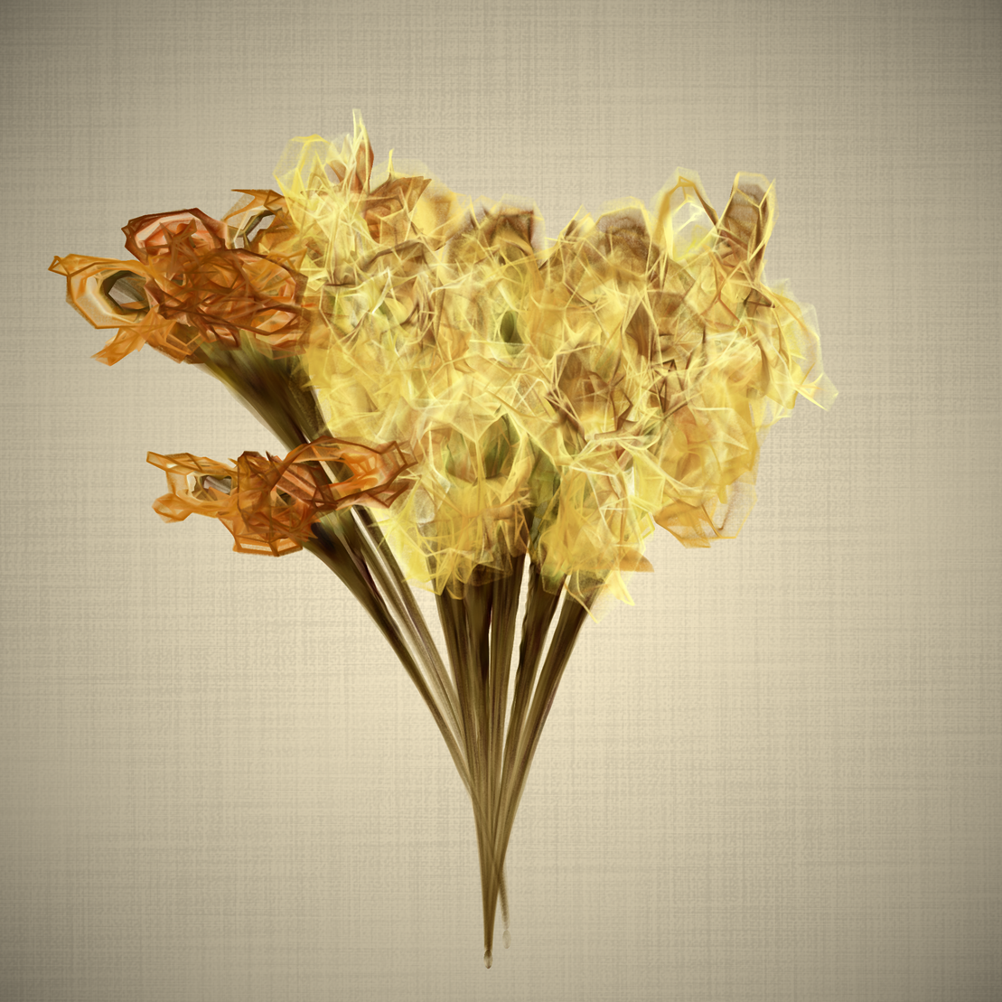 lilium #25