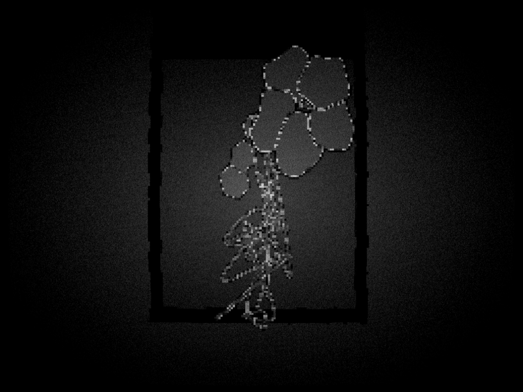 testing-premint #4