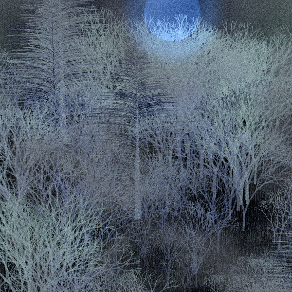 Moonlit Native Bush #89