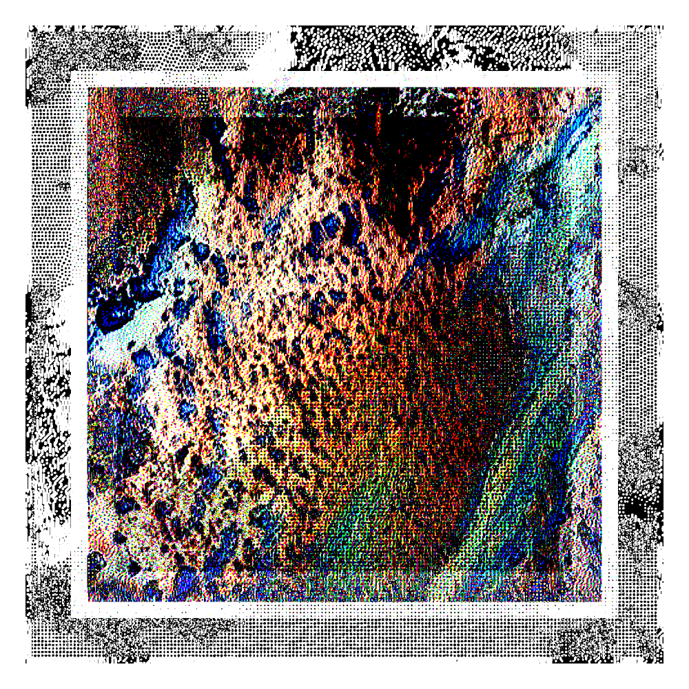 CHX-1 #28