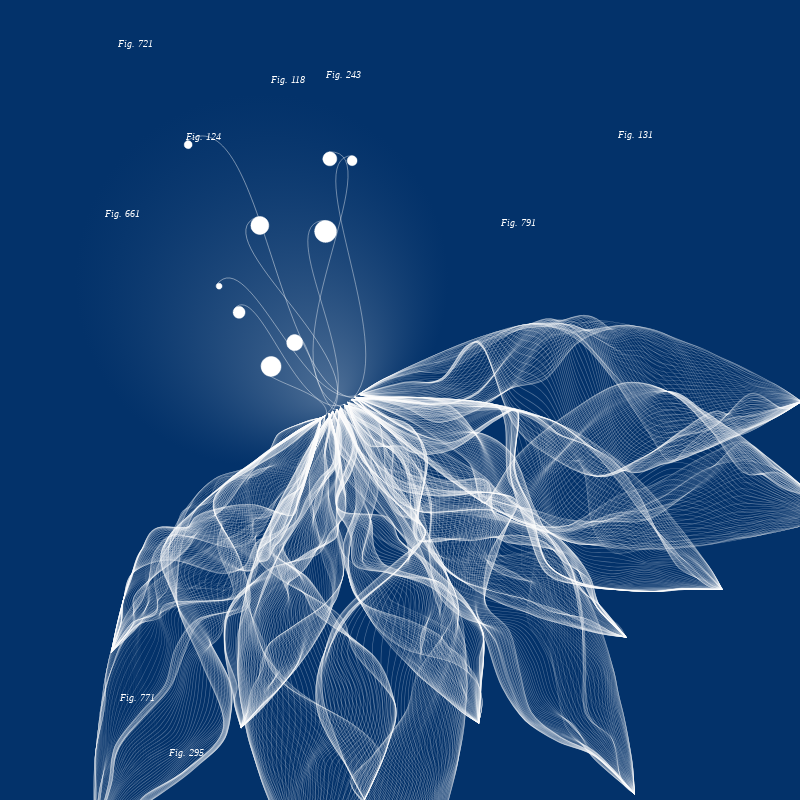Herbarium #641