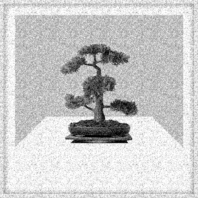 Bonsai Bonanza #656