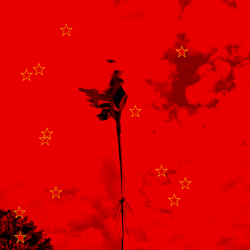 For democracy of Brazil #14