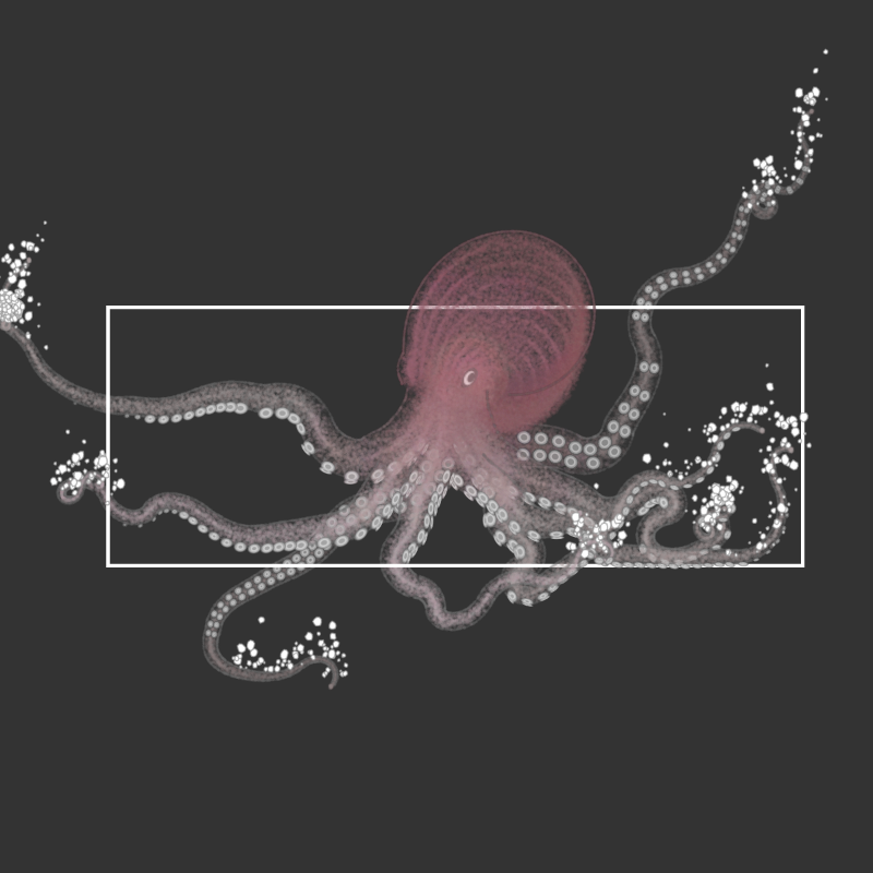 the generative octopuses #30