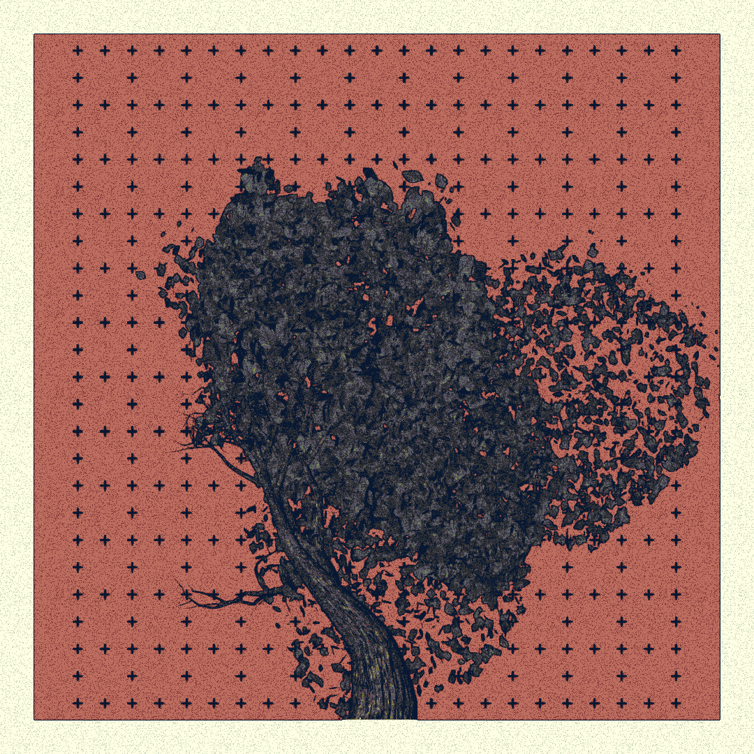 _argania[primaria] #47