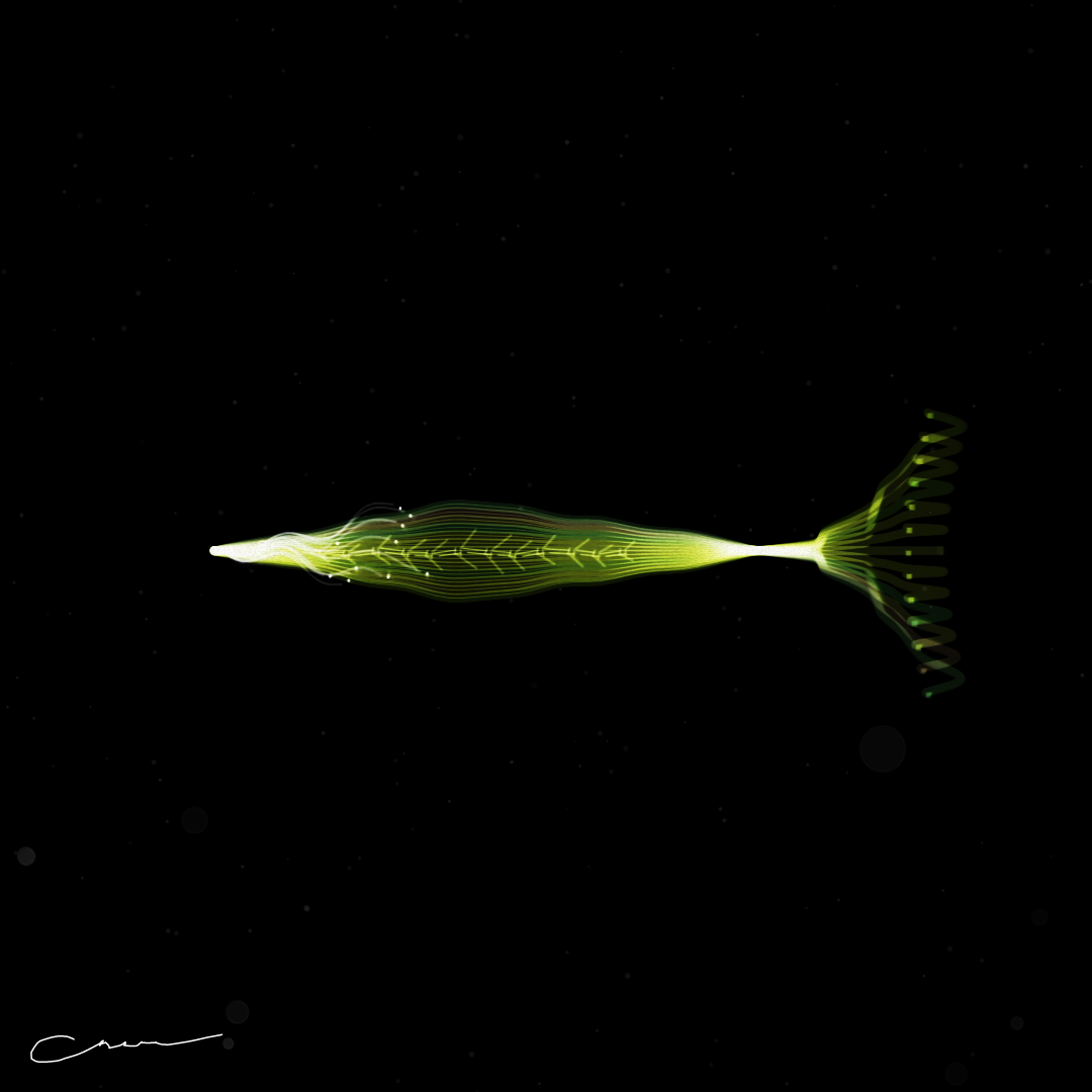 SoulFish #263