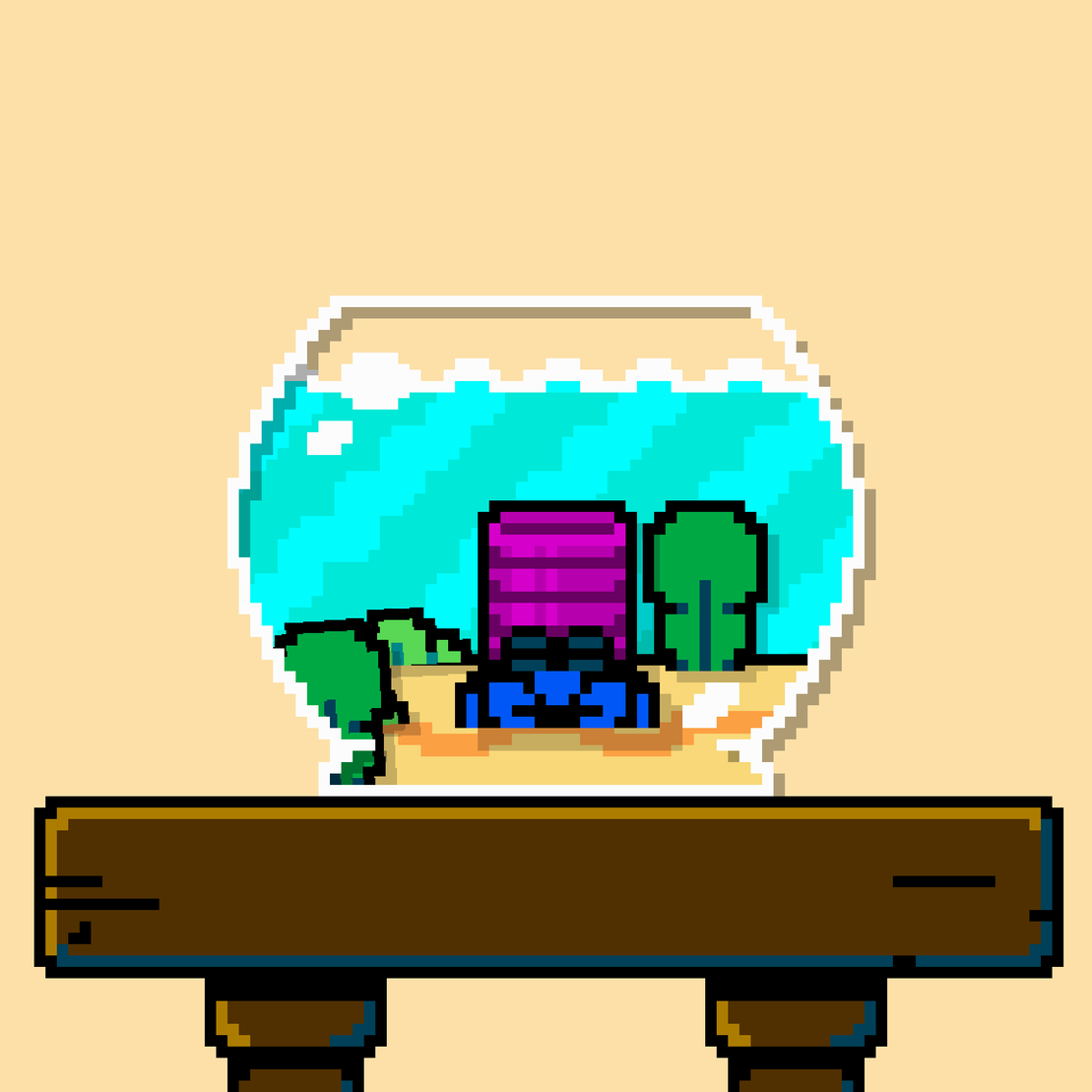 hermit crab #205