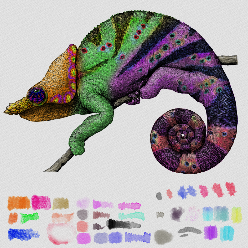 Colorful Cameleon #8