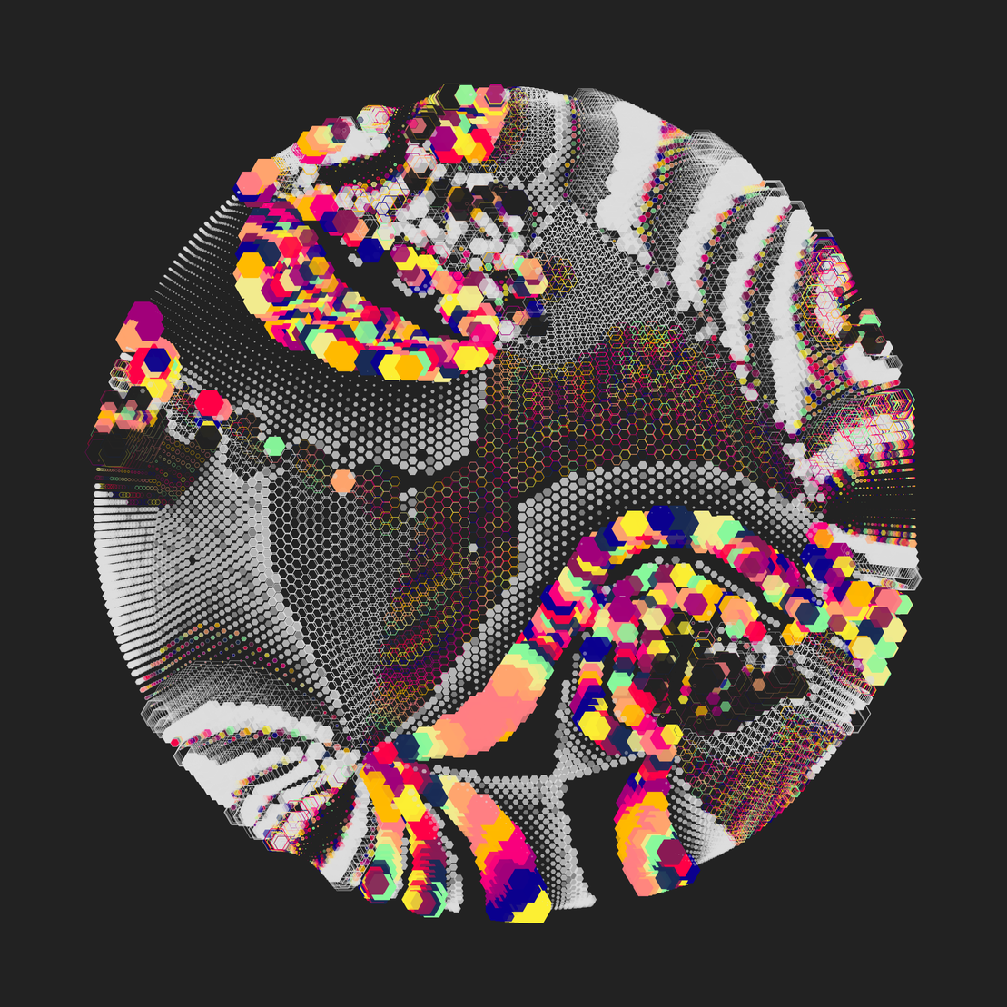 Still C #31570
