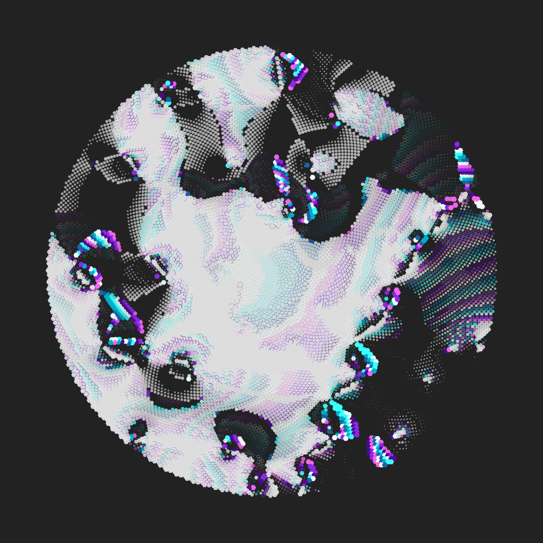 Still C #25935