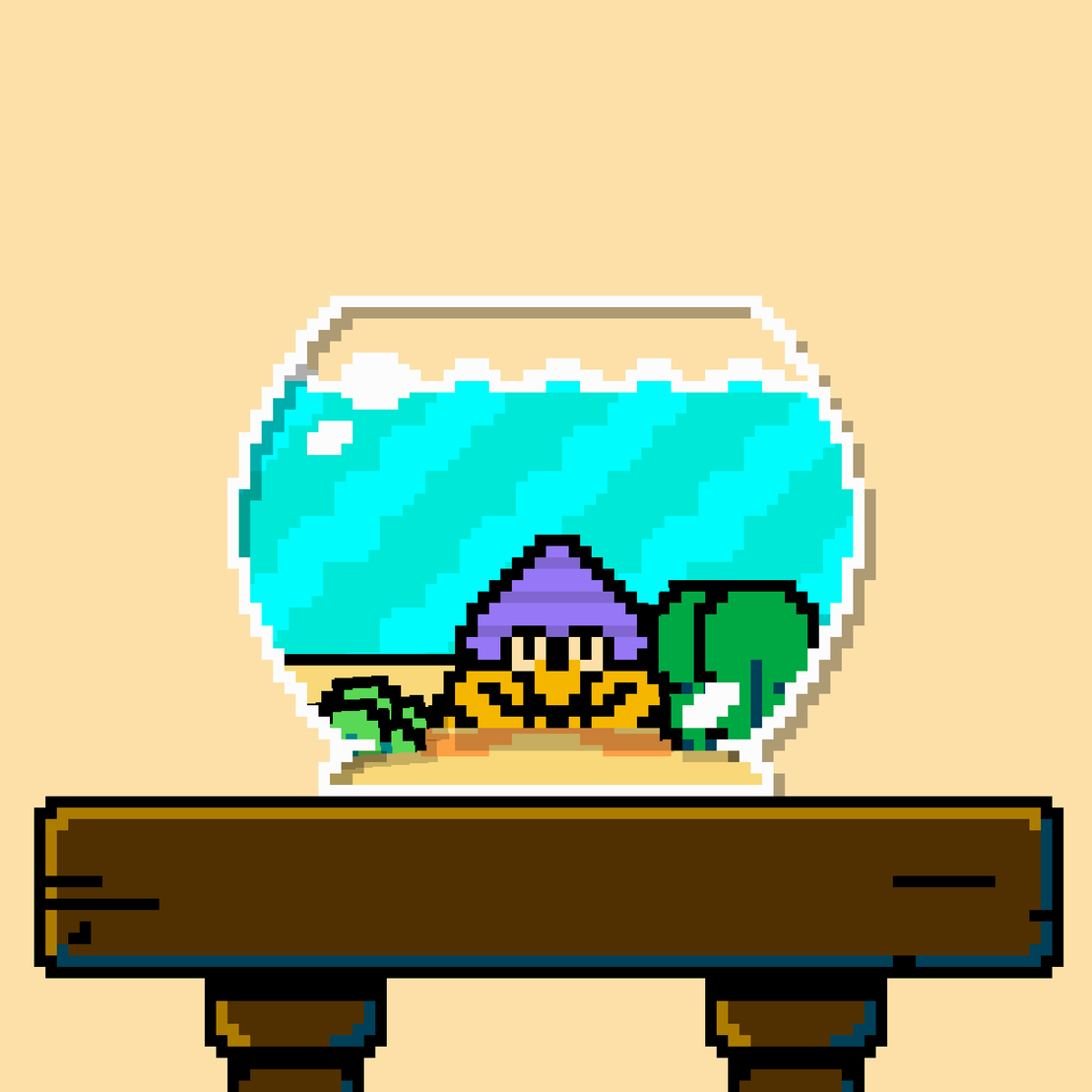 hermit crab #52