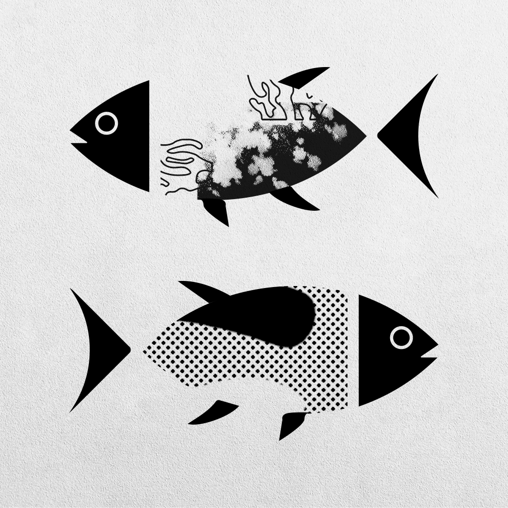 Fish Abstraction #8